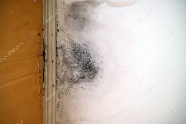 Erste Schritte nach einem Wasserschaden in einem Wohnraum