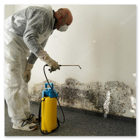 Schimmelentfernung mit Schutzmaßnahmen