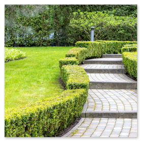 Gerader Gartenweg mit sauberer Randeinfassung