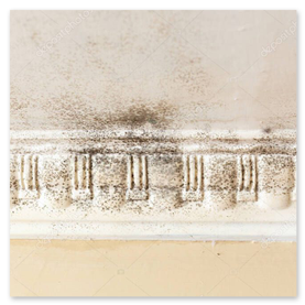 Wasserschadensanierung – Trocknungstechnik