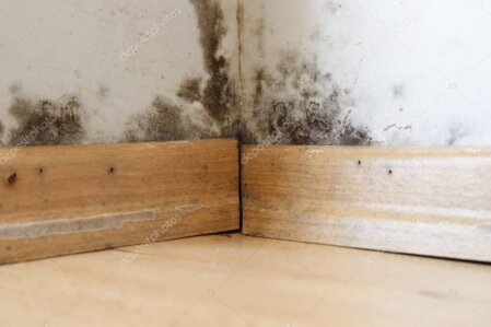 Sanierung feuchtegeschädigter Holzbauteile